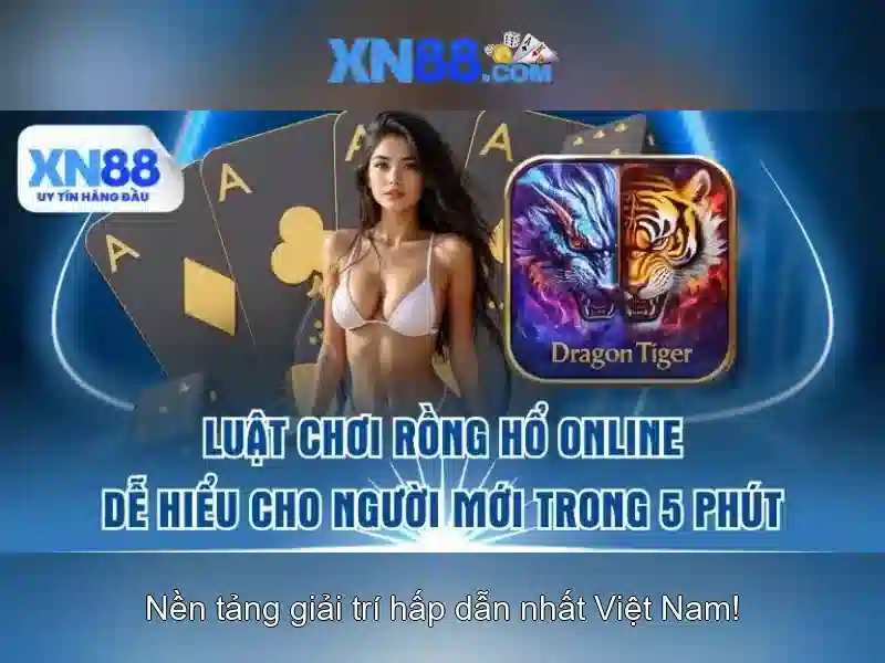 xn88: Tổng quan và đánh giá nền tảng trực tuyến