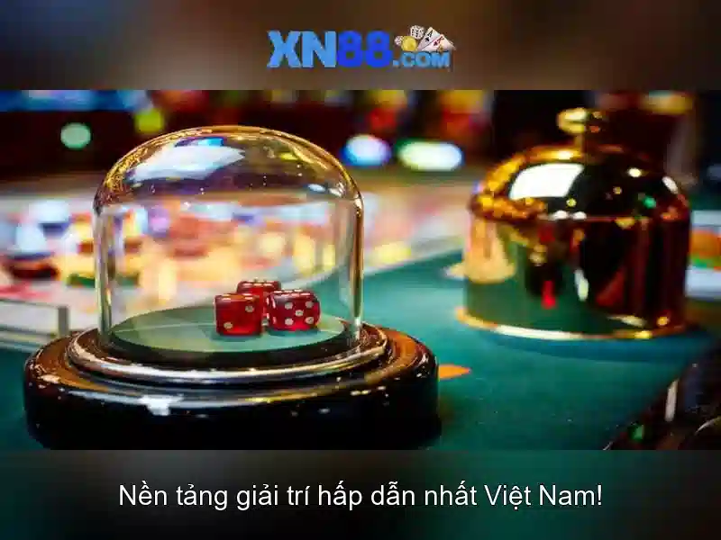An toàn và rủi ro cho người chơi