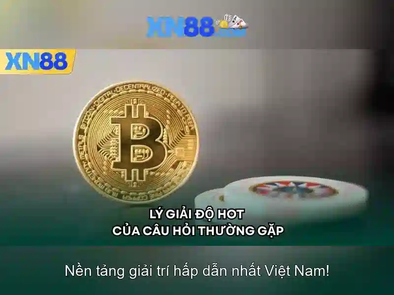 Nền tảng và chức năng
