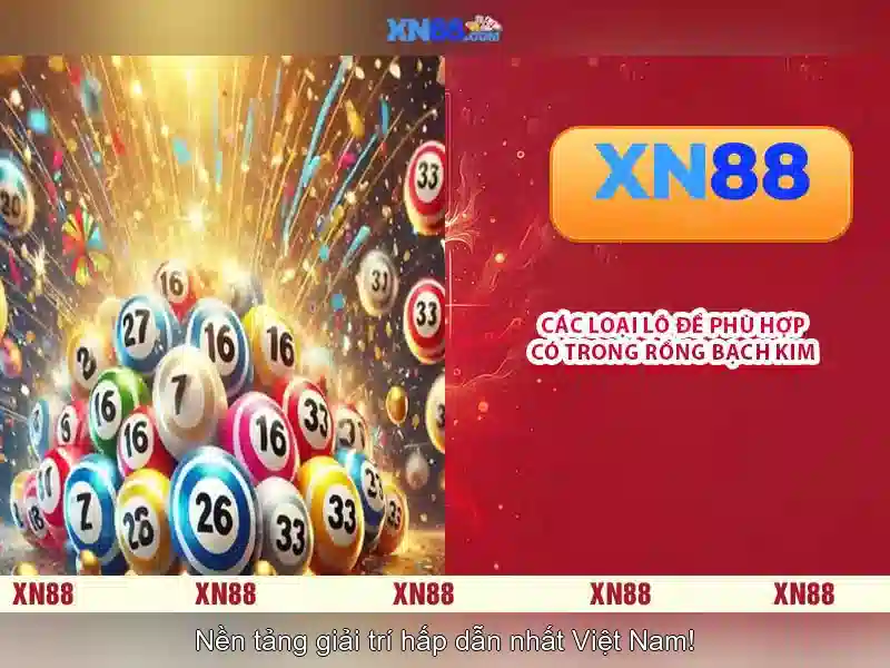 xn88: Tổng quan và các khía cạnh chính