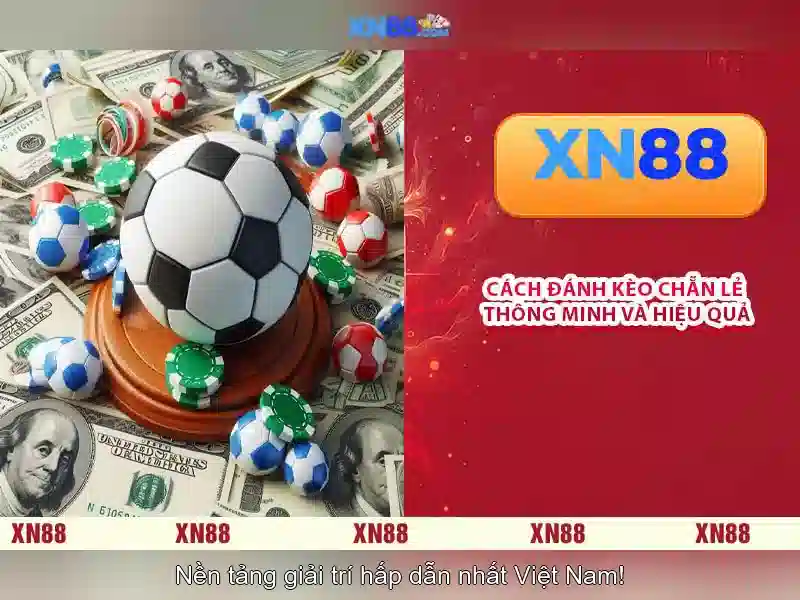 xn88 bet – Tổng quan chủ đề và giá trị cốt lõi