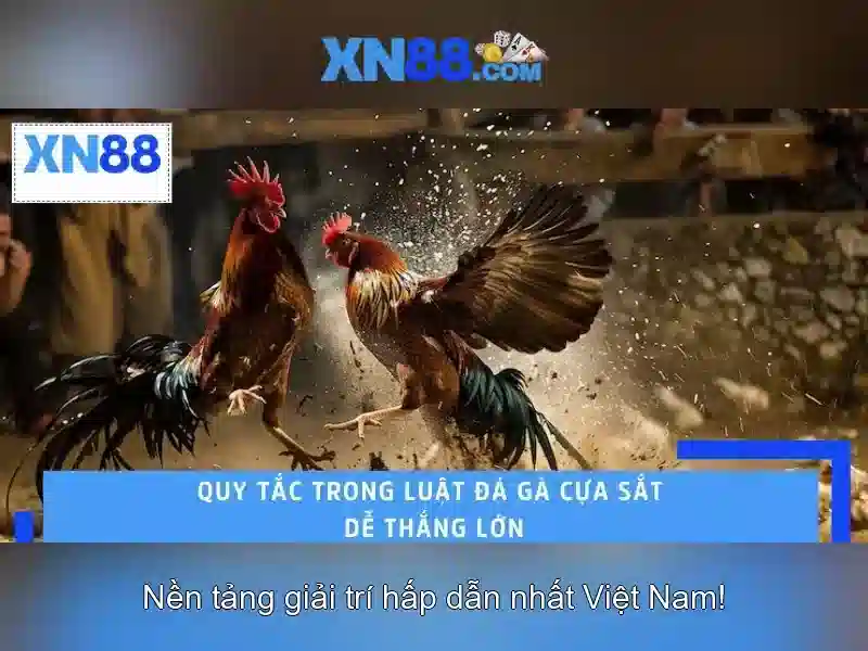 xn88 casino – Dấu ấn thương hiệu và trải nghiệm đỉnh cao