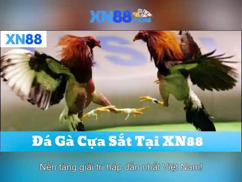 Lý do nên chọn xn88