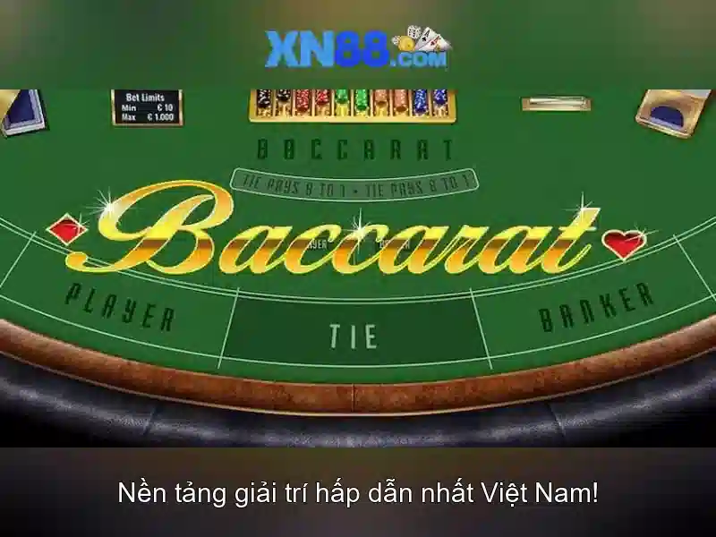 xn88: Tổng quan về nền tảng và các lưu ý cho người dùng