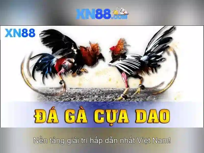 Các tính năng nổi bật và bảo mật\n<h>Trải nghiệm người dùng và đăng ký</h>\n<p><span style=