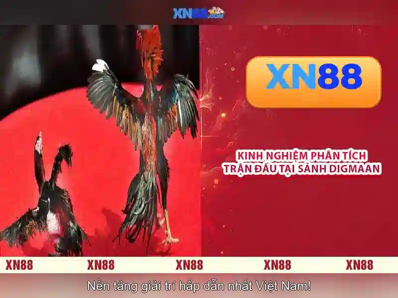 Uu the va canh tranh