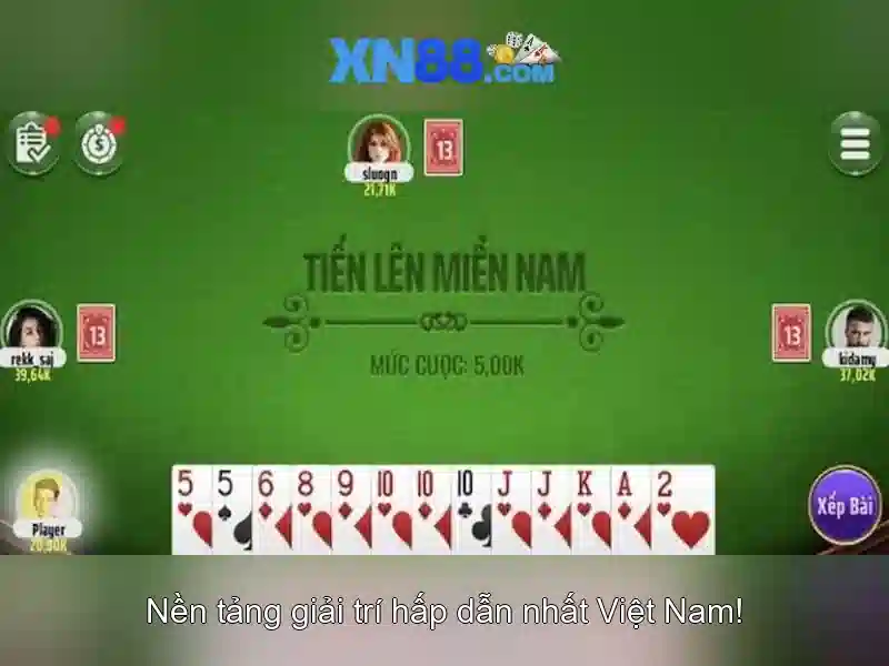 Trải nghiệm người dùng và giao diện