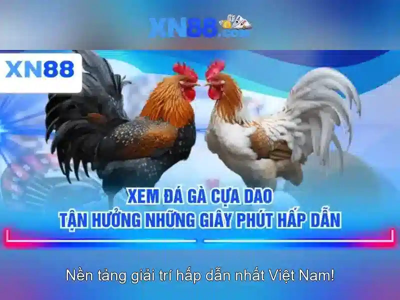 xn88 trong thế giới cá cược trực tuyến