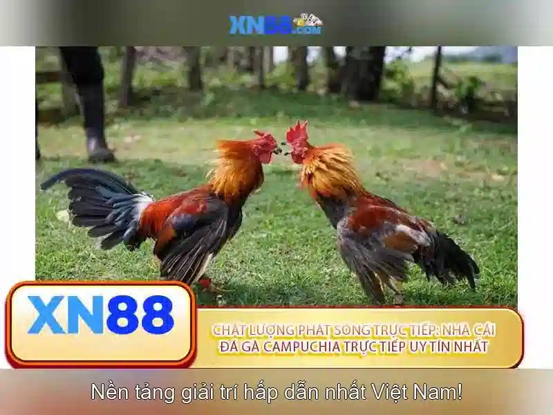 XN88: Nền tảng cược trực tuyến an toàn và tiện ích