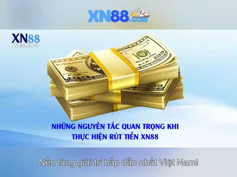 Nền tảng và trải nghiệm người dùng