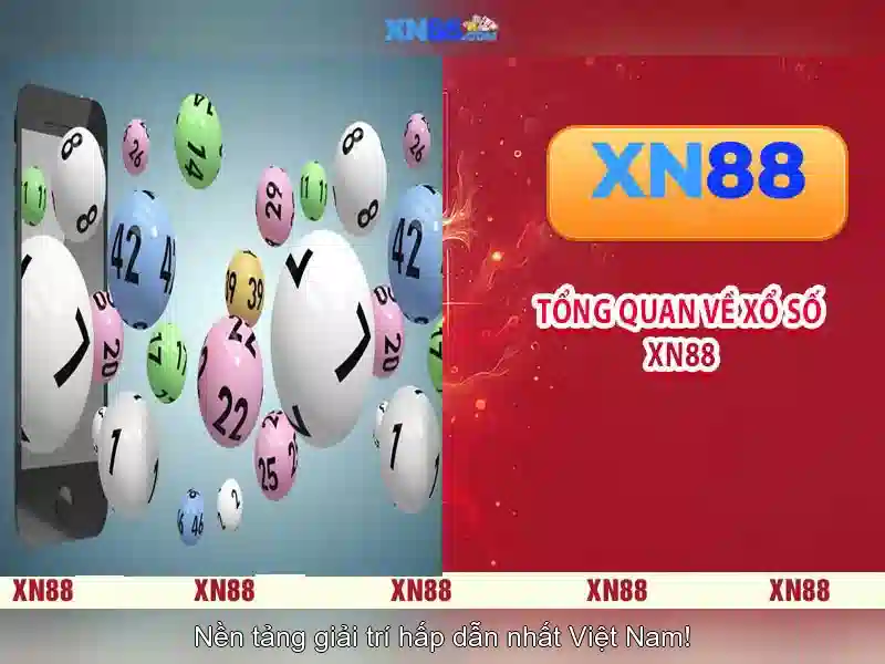 An toàn và trách nhiệm khi tham gia