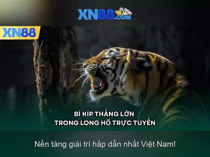 Trải nghiệm người dùng và cộng đồng