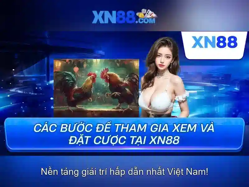 xn88: Giới thiệu và hướng dẫn tổng quan