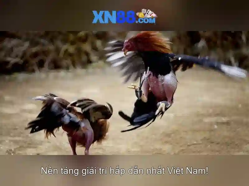 xn88 - Nền tảng giải trí trực tuyến và trò chơi đa dạng
