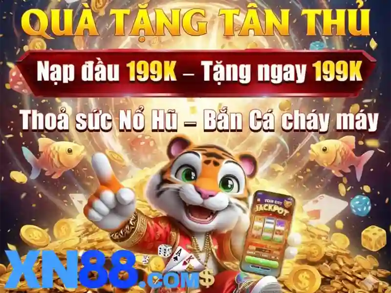 Trải nghiệm người dùng và phản hồi từ cộng đồng